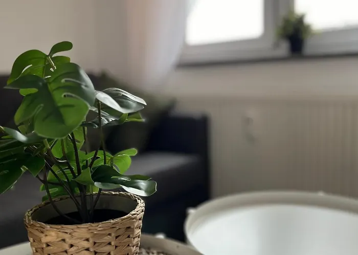 Lejlighed Hifa Fewo *